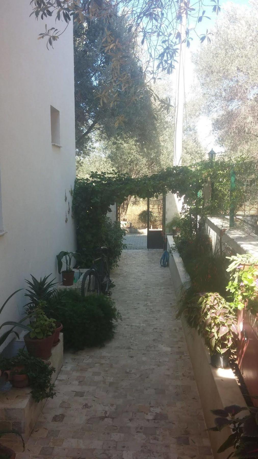 Kaptan Motel Siğacık Exteriér fotografie